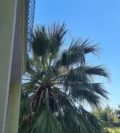 Atlantik Apart Hotel Didim