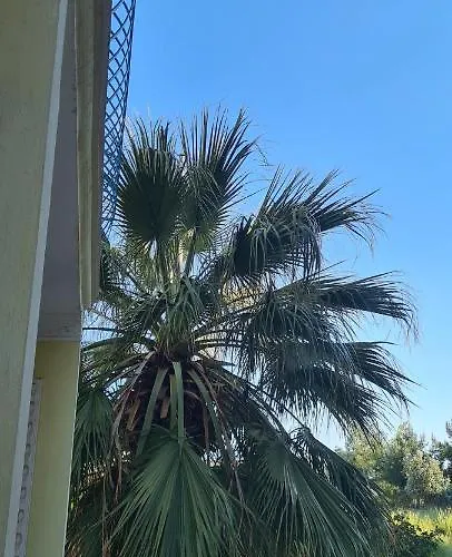 Atlantik Apart ホテル ディディム